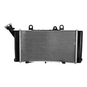 ラジエーター クーラー冷却 BMW F750GS 2019-2024 F850GS Adventure 2019-2024に適合 Radiator Cooler Cooling Fit For BMW F750GS 2019-2024 F850GS Adventure 2019-2024