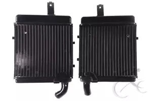 fsmotouk Left & Right Radiator Cooler Cooling Fit For BENELLI-1130 All Years 1998-2002