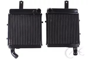 fsmotouk Left & Right Radiator Cooler Cooling Fit For BENELLI-1130 All Years 1998-2002