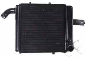 fsmotouk Left & Right Radiator Cooler Cooling Fit For BENELLI-1130 All Years 1998-2002