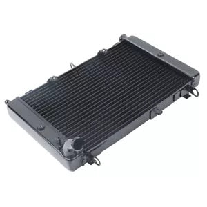 fsmotouk Radiator Cooler Cooling Fit For Yamaha FZS1000 FAZER FZ1 2001-2005 02 03 04