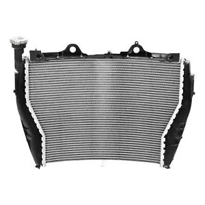 fsmotouk Radiator Cooler Cooling Fit For BMW S1000R S 1000 R 2017-2020 S1000XR 2015-2019