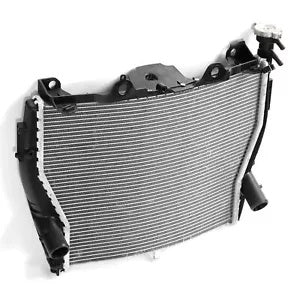 fsmotouk Radiator Cooler Cooling Fit For BMW S1000R S 1000 R 2017-2020 S1000XR 2015-2019