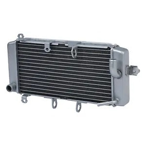 fsmotouk Aluminum Radiator Cooler Cooling Fit For Suzuki GW250 2012-2017 2014 2015