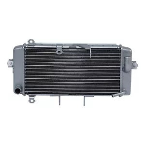 fsmotouk Aluminum Radiator Cooler Cooling Fit For Suzuki GW250 2012-2017 2014 2015