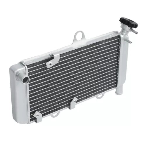 fsmotouk Aluminum Radiator Engine Cooling cooler Fit For Yamaha XT660R XT660X 2004-2014