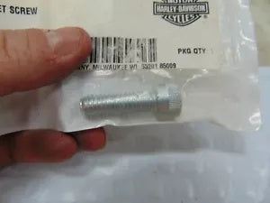 foxcycleworks Harley Davidson Hex Socket Screw P/N 3094